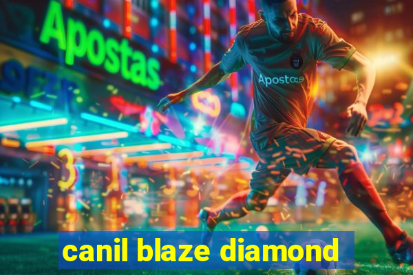 canil blaze diamond